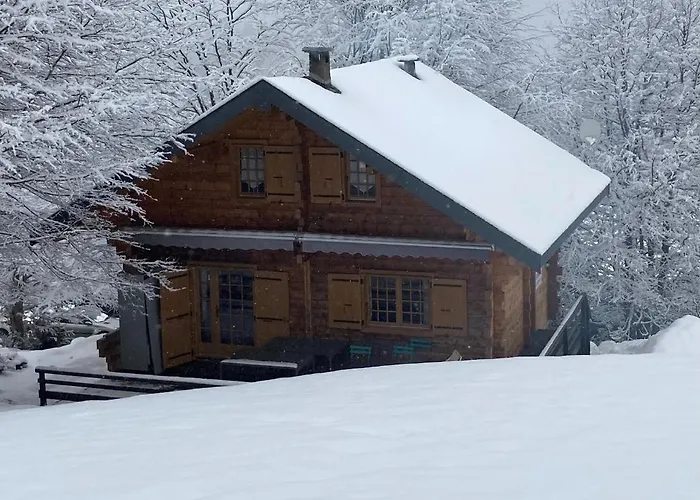 Chalet 6 Personnes Sur Piste Boutx