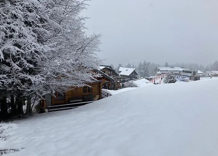 Chalet 6 Personnes Sur Piste *